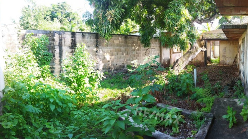 Imagen 6 de 7 de Terreno En El Casco Histórico De La Asunción