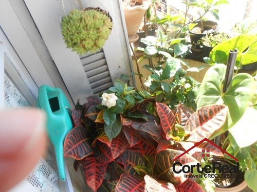 Imagem 11 de 15 de Apartamento - Centro Historico - Ref: 7536 - V-7536