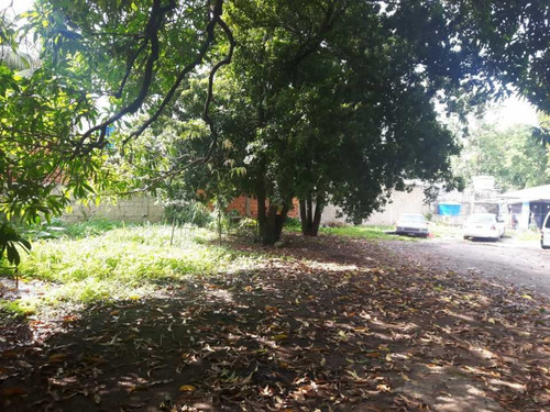 Imagen 2 de 9 de Vendo Terreno En El Limón 2000mts2