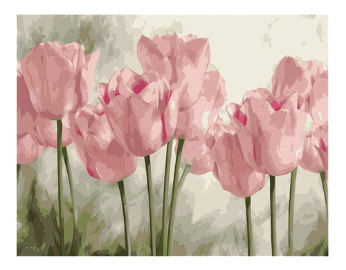 Pinta Por Números Diy Pink Tulips Kimily