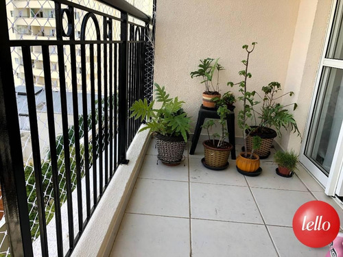 Imagem 5 de 30 de Apartamento - Ref: 211319