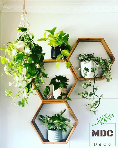 Repisa Hexagonal De Madera