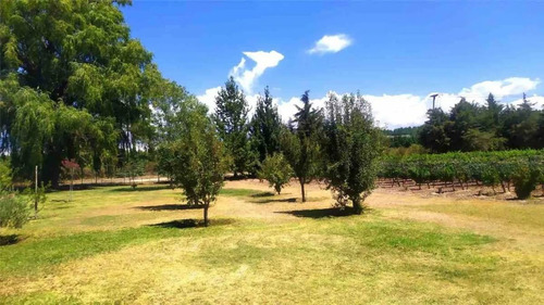 Imagen 13 de 19 de Campo Finca En Produccion Tunuyan Mendoza Valle De Uco