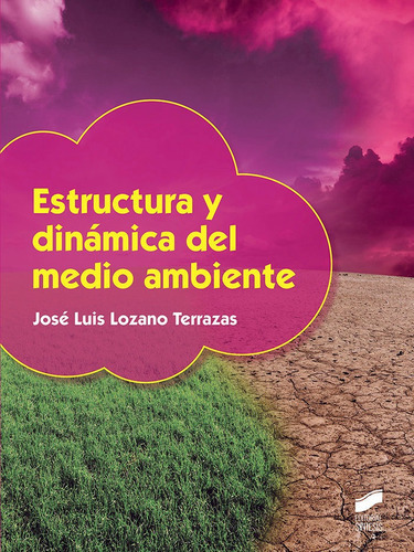 Estructura Y Dinãâ¡mica Del Medio Ambiente, De Lozano Terrazas, José Luis. Editorial Sintesis, Tapa Blanda En Español