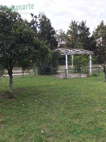 Imagen 17 de 19 de Quinta En Venta - La Fraternidad Prox Ruta 5