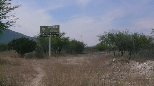 Imagen 5 de 13 de Macrolote En Venta Para Desarrolladores En Tequisquiapan, Querétaro.