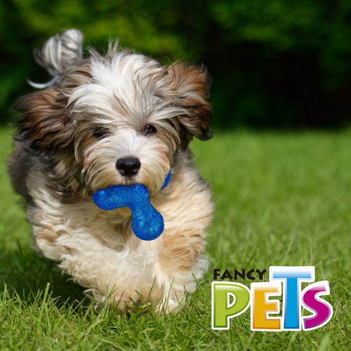 Juguete Para Perro Satélite Sound Tamaño Chico Fancy Pets