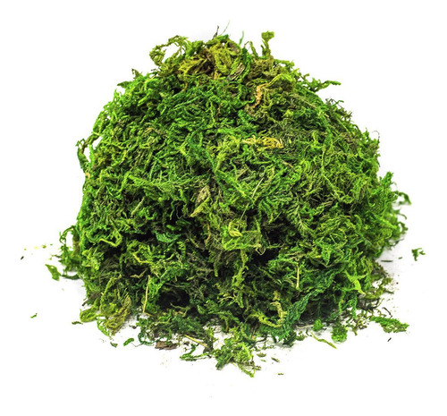 Musgo Artificial Verde Para Arranjos E Jardins 50g