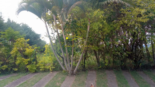Imagem 1 de 30 de Terreno - Te00003 - 70671589