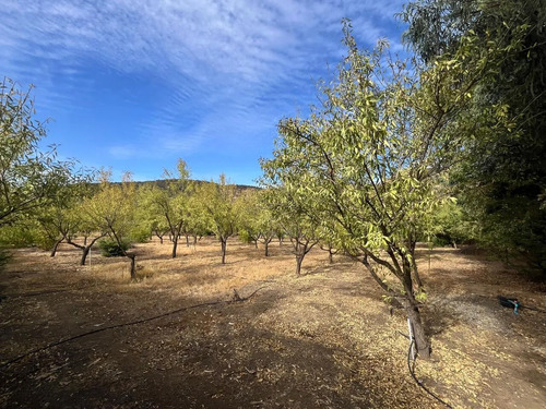 Parcela Con Casa Y Arboles Frutales Aculeo
