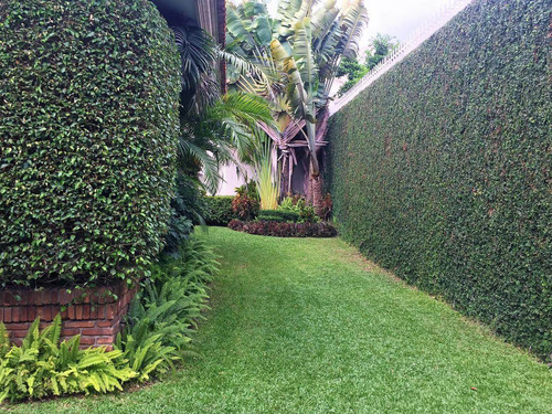 Imagen 6 de 12 de Casa - Flamboyanes
