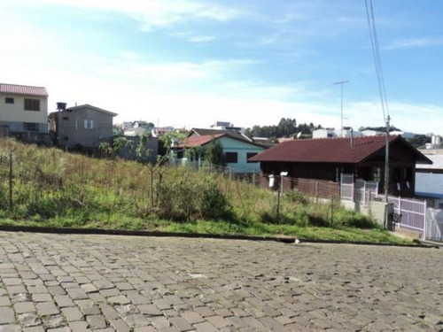 Imagem 3 de 4 de Terreno - Cidade Nova Ii - Ref: 4389 - V-4389