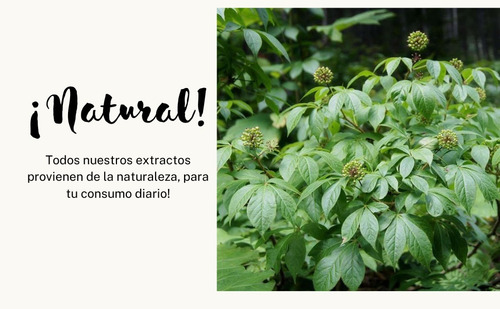 Eleuthero, Triple Extracto Orgánico Ultra Concentrado Natural