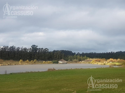 Imagen 24 de 28 de Casa - Pueblomio