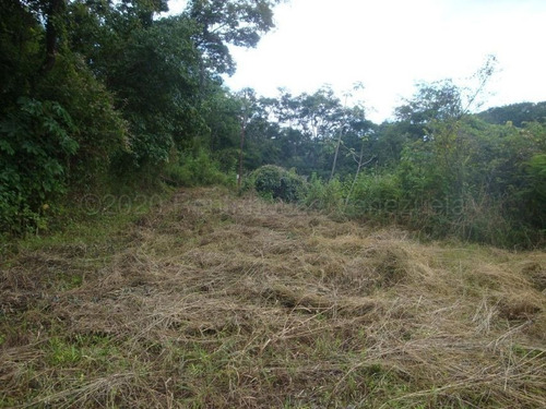 Imagen 13 de 18 de Terreno En Venta En Colinas De Guataparo Valencia Carabobo 22g8223 Gerardo Guillén Rentahouse