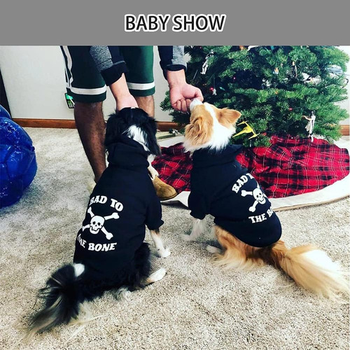 Sudadera Con Capucha Para Perro Expawlorer - Sudadera Con...