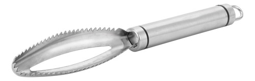 Extractor De Escamas De Pescado, Raspador, Raspador, De Acer