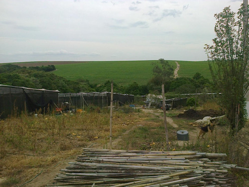 Imagem 6 de 28 de Chácara À Venda, 20000 M² Por R$ 530.000 - Ipiranga - Elias Fausto/sp - Ch0029