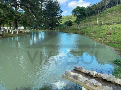 Imagem 8 de 30 de Lindo Sitio, Com 03 Nascentes! Ideal Para Lazer E Criação. - 118 - 69225614