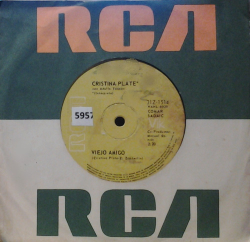 Cristina Plate Vinilo Simple Muy Raro (Usado)