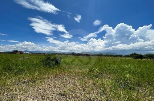 Terreno En Venta En Pinar De La Laguna 27 Atotonilco El Bajo Villa Corona