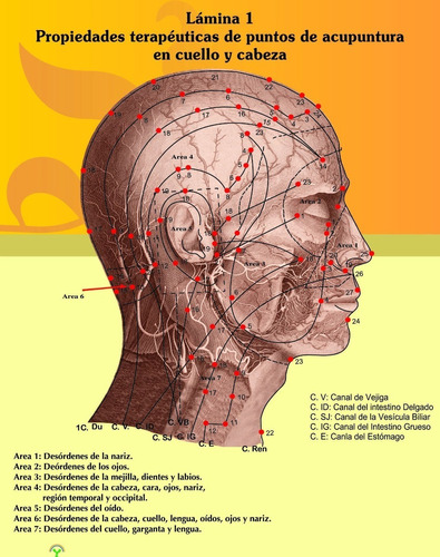 Propiedades Terapéuticas De Puntos De Acupuntura (10 Laminas