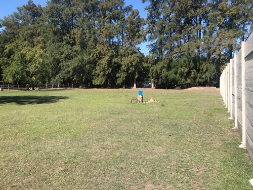 Imagen 7 de 11 de Terreno - Canning (ezeiza)