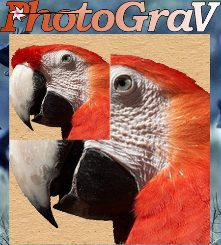 photograv 3.0 full download photograv 3.0 full download