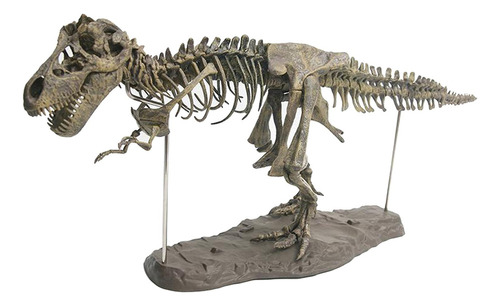 Modelo De Esqueleto De Dinossauro Conjunto De Fósseis De