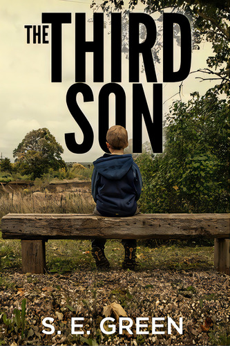The Third Son, De Green, S. E.. Editorial Rittenhouse Book Distributors, Tapa Blanda En Inglés