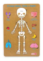 Comprar Rompecabezas El Cuerpo Humano Huesos Y Organos De Madera 