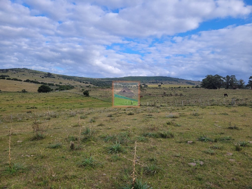 Imagen 17 de 25 de 20has De Campo Sobre Ruta 12 Pueblo Edén