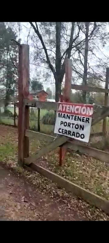 A Minutos Playa Coique Lago Ranco (88260)