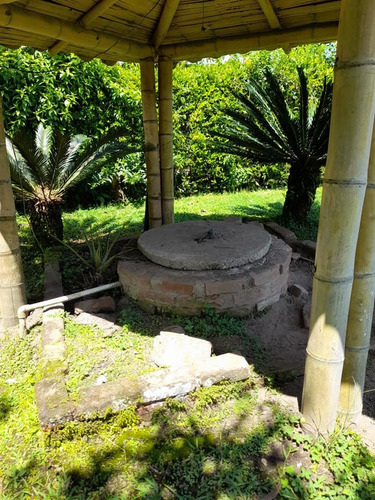 Imagen 13 de 16 de Venta Finca Hotel - Sector Batallon Cisneros