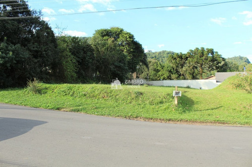 Imagem 3 de 13 de Terreno De Esquina Casemiro De Abreu 866m² Bairro Perpétuo Socorro - 12860