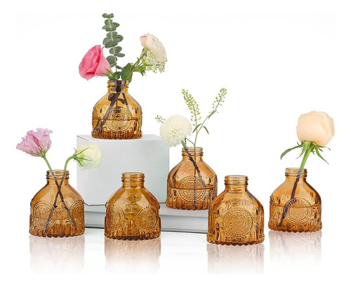 Comsaf Glass Bud Vases Set De 6, Pequeña Botella De Flores V