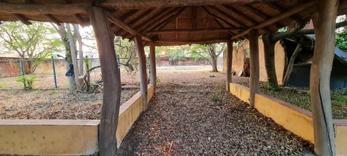 Imagen 12 de 14 de Terreno En Venta En Tocuyito