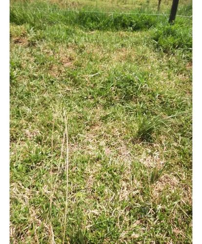 Venta Finca Ganadera Filandia Via Quimbaya - 41 Cuadras