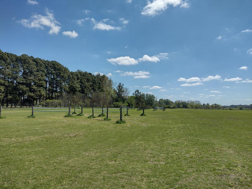 Imagen 29 de 30 de Campo En Venta Zona Polo, Pilar, Con 2 Canchas De Polo Y Varias Mejoras