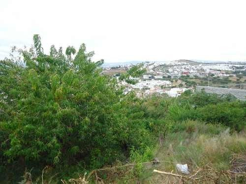 Imagen 5 de 11 de Oportunidad Venta Terreno Residencial Colinas Del Bosque