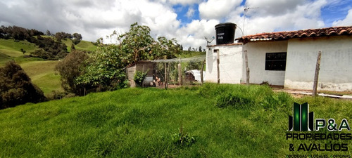 Imagen 24 de 24 de Finca En Venta En San Pedro - La Palma