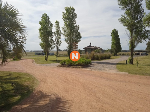 Imagen 9 de 21 de Oportunidad!!! Lote En Pueblo Mio De 5.000 M2-ref:217260
