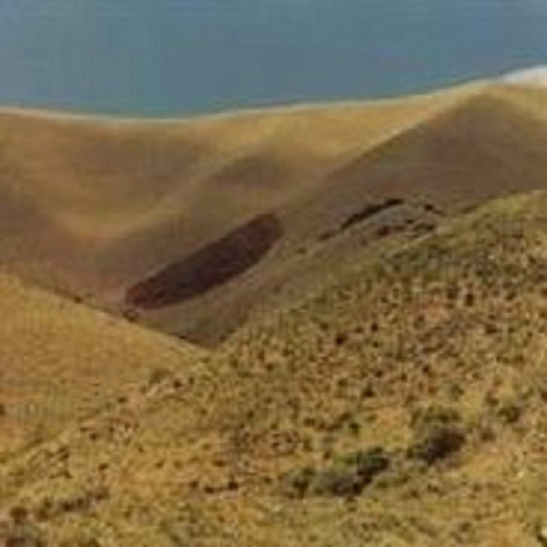 Venta Campo Cerro El Pajarillo