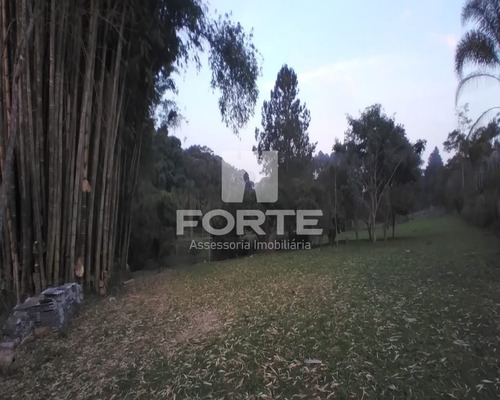Imagem 13 de 30 de Linda Parte De Terra Com Lagos E Pinheiros Em Sabauna . Imobiliárias De Mogi Das Cruzes. São 47 Mil Metros Com 2 Lagos - Ar00001 - 69542625