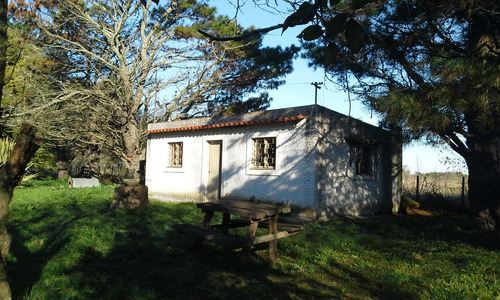 Imagen 11 de 14 de Quinta Chacra Casa Campo En Venta En Ranchos - Oportunidad