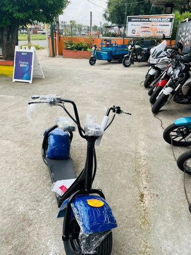 Imagen 5 de 15 de Moto Electricas E- Bicis City Coco Ofertas