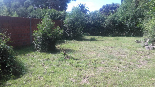 Venta Lote 10 X 56,5 La Lonja Pilar