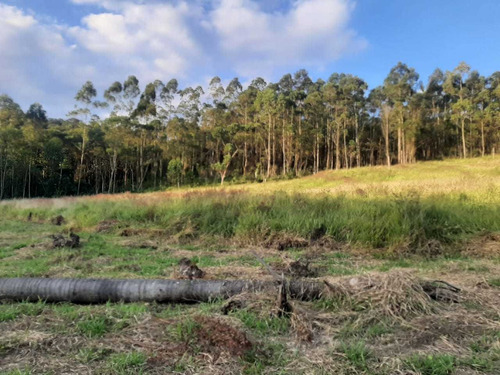 Imagem 6 de 8 de Lançamento Terrenos Em Sebandilha