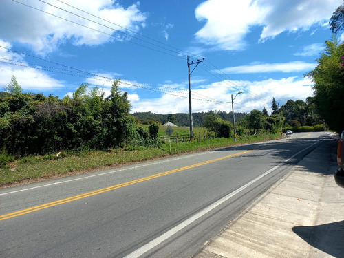 Espectacular Lote Para El Arriendo En La Vía Llanogrande Don Diego.