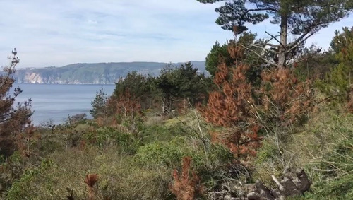 2 Predios De Una Há Reserva Nacional Curaumilla Laguna Verde